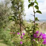In Tuscany With Pool Near Certaldo
